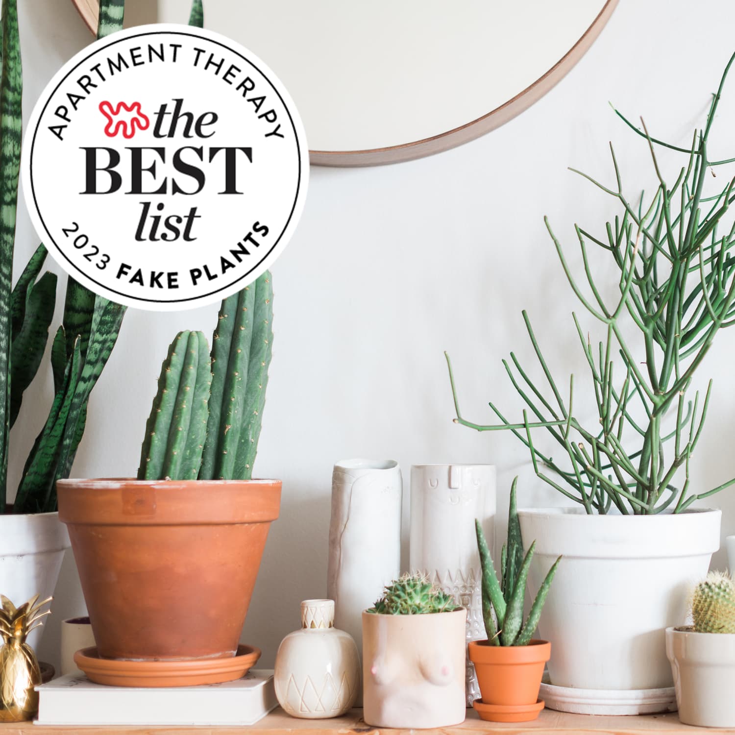 Faux tabletop discount plants